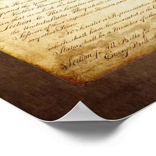 De grondwet van de VS Poster (Hoek)