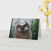 De groot-Gehoornde Uil van het baby Kaart (Gele Bloem)