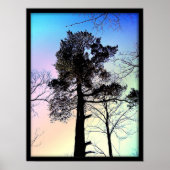 De grootste boom poster (Voorkant)