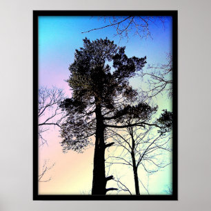 De grootste boom poster