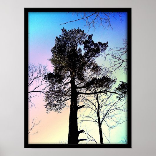 De grootste boom poster (Voorkant)