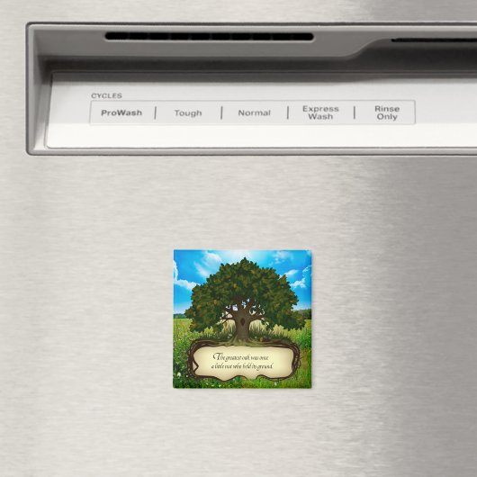 De grootste eikel was ooit een beetje gek die... magneet (Insitu (Vaatwasser))