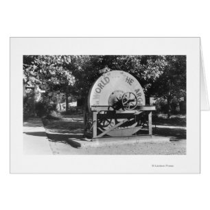 De grootste Grindstone Buffalo Ranch ter wereld