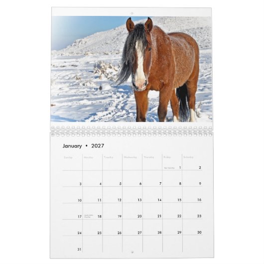 De grootste kleine mosterdkreeften van de stad 201 kalender (Jan 2027)