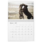 De grootste kleine mosterdkreeften van de stad 201 kalender (Feb 2027)