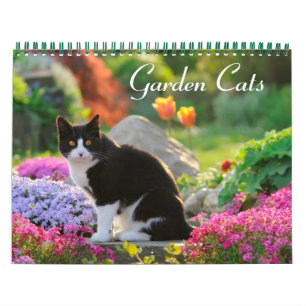 De groottemiddel van de Katten 2017 van de tuin Kalender