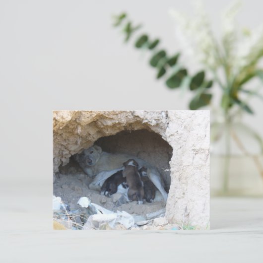 De grot briefkaart (Staand voorkant)