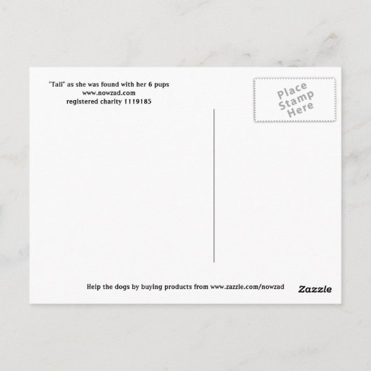 De grot briefkaart (Achterkant)