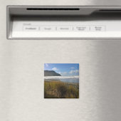 De grot, de zee, de oregon magneet (Insitu (Vaatwasser))