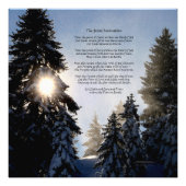 De grote aanroeping - het Licht van de Boom van de Foto Afdruk (Voorkant)