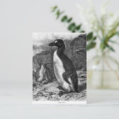 De Grote Auk Briefkaart (Staand voorkant)