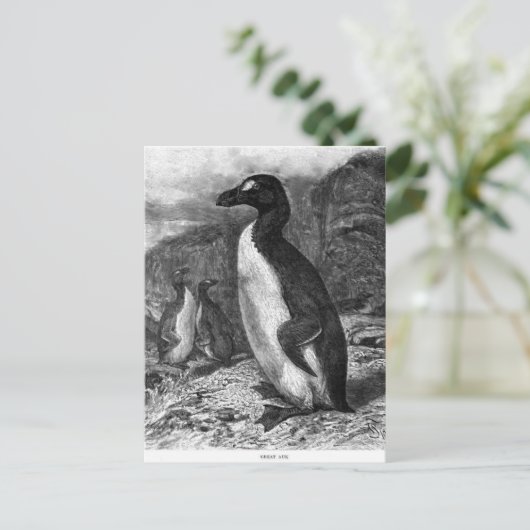 De Grote Auk Briefkaart (Staand voorkant)