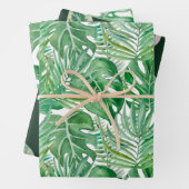 De grote bladeren van palmbomen en monstera inpakpapier vel (In situ)