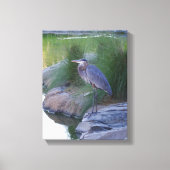 De grote blauwe Heron Canvas Afdruk (Voorkant)