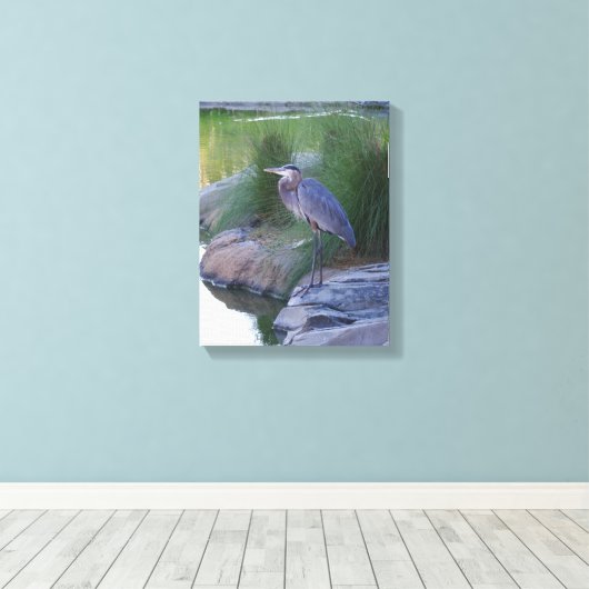 De grote blauwe Heron Canvas Afdruk (Insitu (Houten vloer))