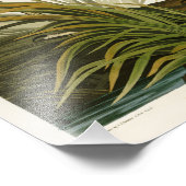 De Grote Blauwe Heron John Audubon Birds of Americ Foto Afdruk (Hoek)