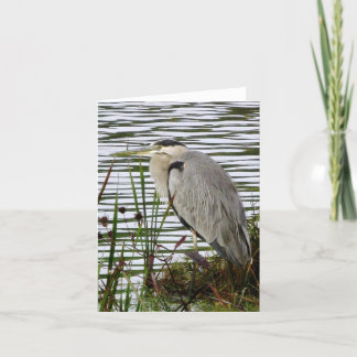 De grote Blauwe Kaart van de Nota van de Reiger