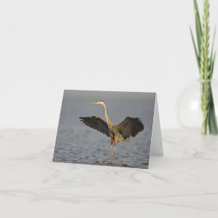 De grote Blauwe Kaart van de Nota van de Reiger
