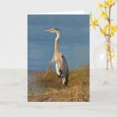 De grote Blauwe Lege Nota of het Wenskaart van de Kaart (Gele Bloem)