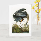 De grote Blauwe Reiger John Audubon Birds van Kaart (Gele Bloem)