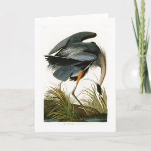 De grote Blauwe Reiger John Audubon Birds van Kaart