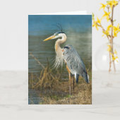 De grote Blauwe Vogel van de Reiger bij de Vijver Kaart (Gele Bloem)