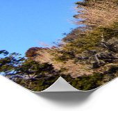 De Grote Boeddha: Kamakura, Japan Poster (Hoek)