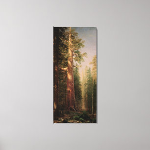 De Grote Bomen, Mariposa Grove, CA door Bierstadt Canvas Afdruk
