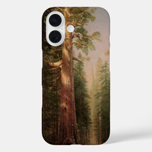 De Grote Bomen, Mariposa Grove, CA door Bierstadt Case-Mate iPhone Case (Achterkant)
