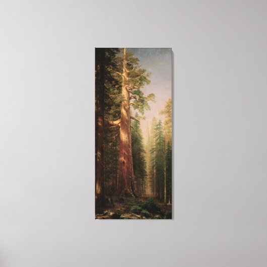 De grote bomen, Mariposa Grove, CA van Bierstadt Canvas Afdruk (Voorkant)