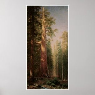De grote bomen poster