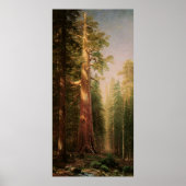 De Grote Bomen van Albert Bierstadt Poster (Voorkant)
