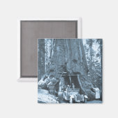 De grote bomen van Mariposa Grove Magneet (Voorkant / Achterkant)