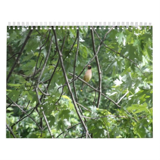 De grote buitendeuren kalender (Hoes)