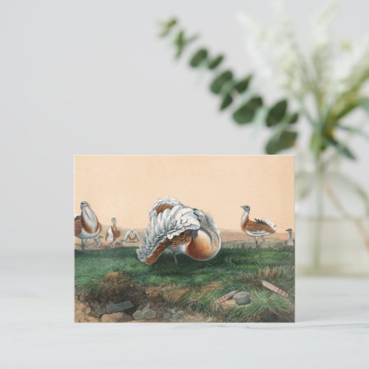 De Grote Bustard van Joseph Wolf Briefkaart (Staand voorkant)