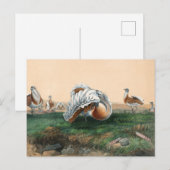 De Grote Bustard van Joseph Wolf Briefkaart (Voorkant / Achterkant)