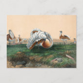 De Grote Bustard van Joseph Wolf Briefkaart (Voorkant)