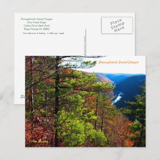 De Grote Canion van Pennsylvania Briefkaart (Voorkant / Achterkant)