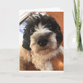 DE GROTE DAG WIL EEN *BESTE VRIEND* OP ALLE MANIER KAART (Voorkant)