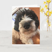 DE GROTE DAG WIL EEN *BESTE VRIEND* OP ALLE MANIER KAART (Gele Bloem)