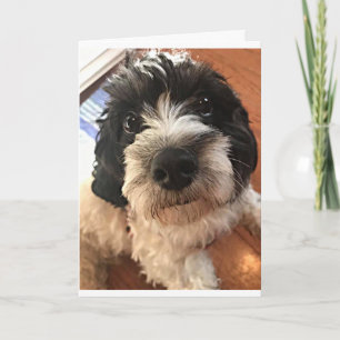 DE GROTE DAG WIL EEN *BESTE VRIEND* OP ALLE MANIER KAART