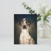 De Grote Deen Briefkaart (Staand voorkant)