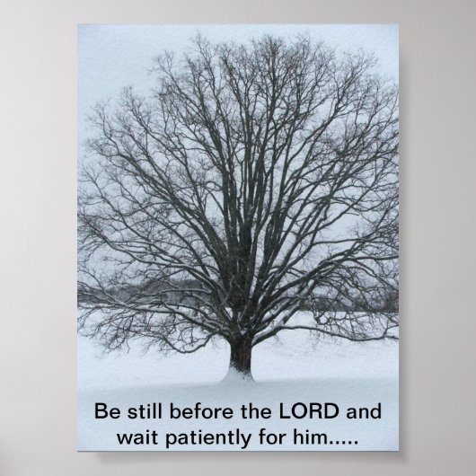 De grote eikenboom poster (Voorkant)