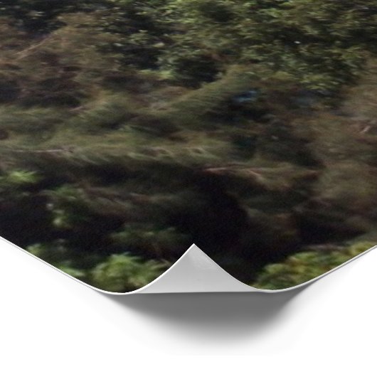 De grote eilanden - Hawaii Poster (Hoek)