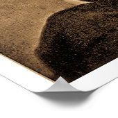 De grote emmancipator - Abe Lincoln (1865) Poster (Hoek)