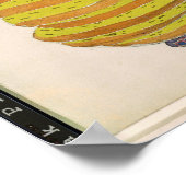 De Grote Eunuch Poster (Hoek)