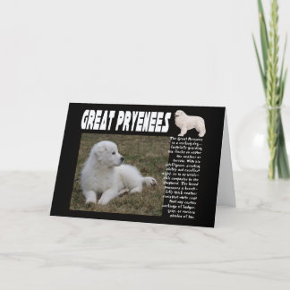 DE GROTE FOTO VAN HET PUPPY VAN DE BESCHRIJVING KAART