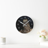 De Grote Gehoornde Uil van de achtertuin Ronde Klok (Huis)