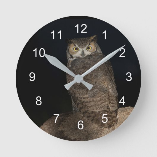 De Grote Gehoornde Uil van de achtertuin Ronde Klok (Voorkant)