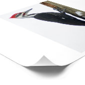 De grote, gepileerde Woodpecker 7 x5 fotografische Foto Afdruk (Hoek)